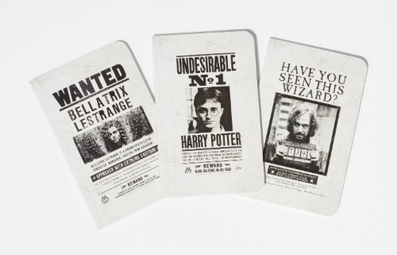 Cover image for Harry Potter: Wanted Posters Pocket Notebook Collection (Set of 3)