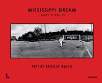 Cover image for Mississippi Dream