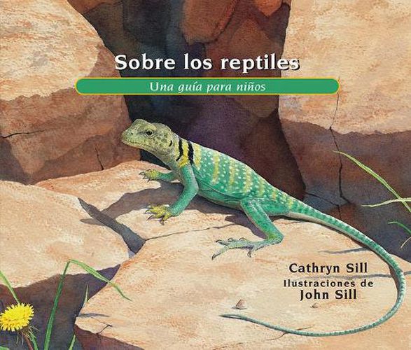 Sobre los reptiles: Una guia para ninos