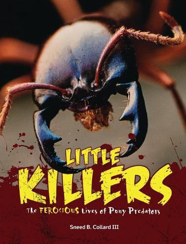 Cover image for Little Killers