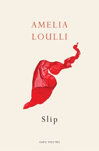 Cover image for Slip