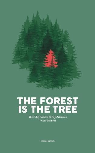 Cover image for The Forest is the Tree: Three Big Reasons to Pay Attention to this Moment