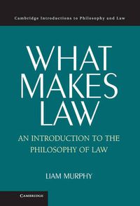 Cover image for What Makes Law: An Introduction to the Philosophy of Law