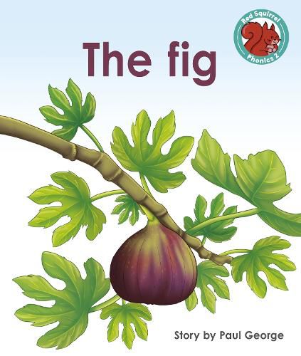 Cover image for The Fig