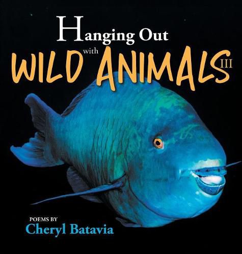 Hanging Out with Wild Animals - Book Three