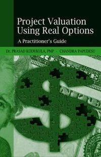 Cover image for Project Valuation Using Real Options: A Practitioner's Guide