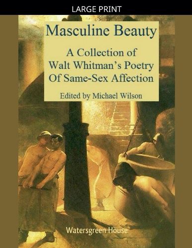 Cover image for Masculine Beauty