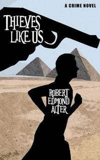 Cover image for Thieves Like Us