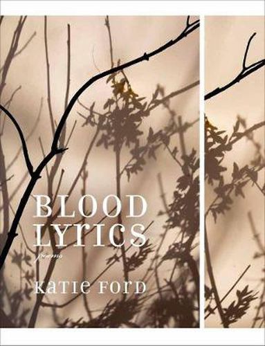 Cover image for Blood Lyrics: Poems