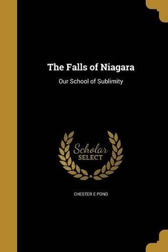 Cover image for The Falls of Niagara