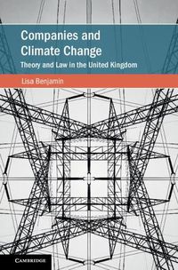 Cover image for Companies and Climate Change: Theory and Law in the United Kingdom