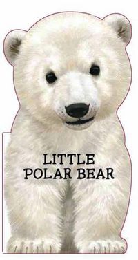 Cover image for Little Polar Bear