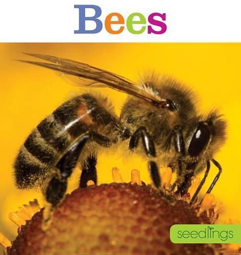 Cover image for Seedlings: Bees