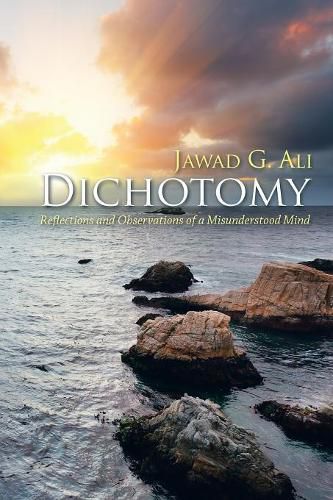 Cover image for Dichotomy