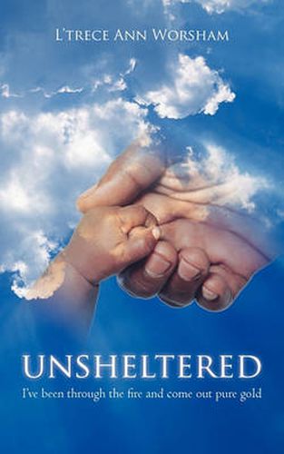 Cover image for Unsheltered