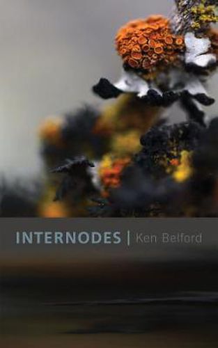 Internodes