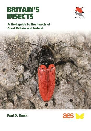 Cover image for Britain's Insects: A Field Guide to the Insects of Great Britain and Ireland