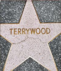 Cover image for Terrywood