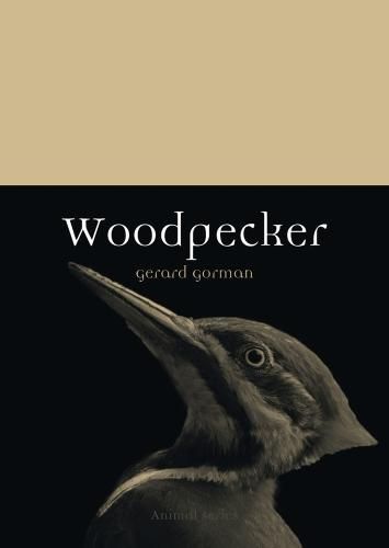 Cover image for Woodpecker