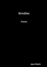 Cover image for Brindilles