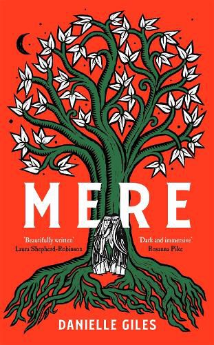 Cover image for Mere