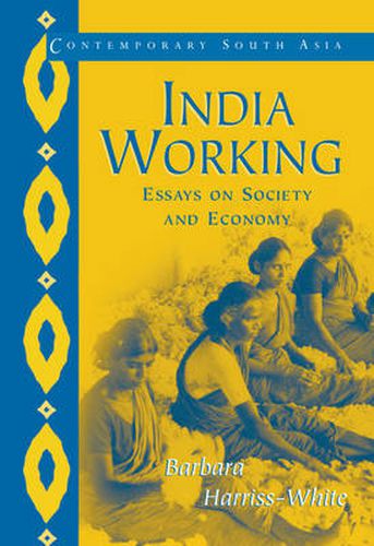 Cover image for India Working: Essays on Society and Economy