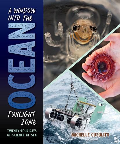 Cover image for A Window into the Ocean Twilight Zone