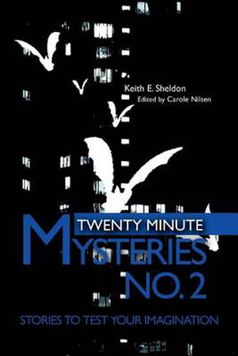 Cover image for Twenty Minute Mysteries No. 2:Stories to Test Your Imagination: Stories to Test Your Imagination