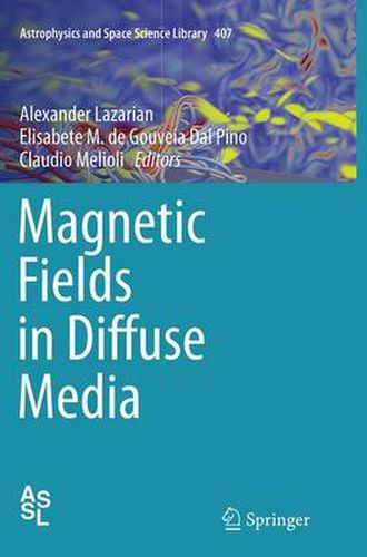 Cover image for Magnetic Fields in Diffuse Media
