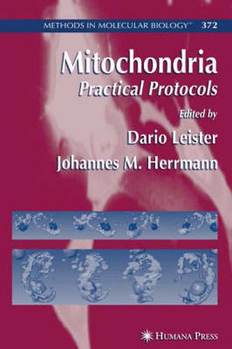 Cover image for Mitochondria: Practical Protocols