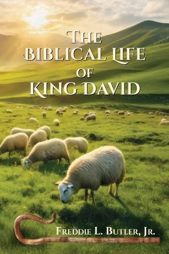 Cover image for The Biblical Life of King David