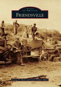 Cover image for Friendsville