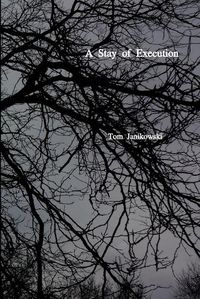 Cover image for A Stay of Execution