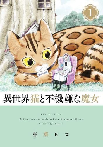 Cover image for A Cat from Our World and the Forgotten Witch Vol. 1