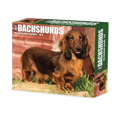 Cover image for Dachshunds 2026 Box Calendar