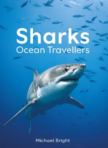 Cover image for Sharks