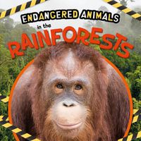 Cover image for In the Rainforests