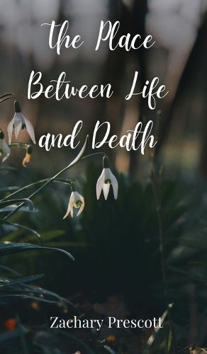 Cover image for The Place Between Life and Death