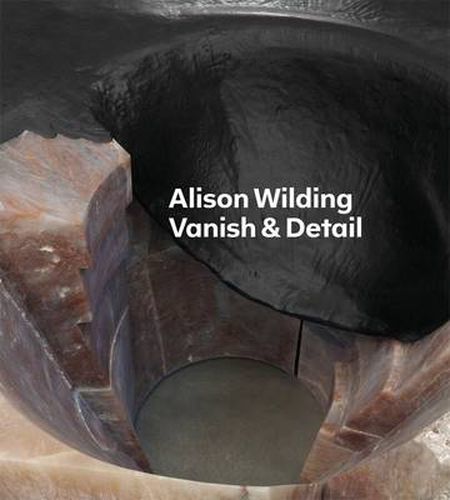 Alison Wilding: Vanish & Detail