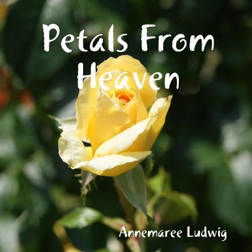 Cover image for Petals From Heaven