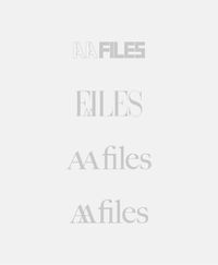 Cover image for AA Files X