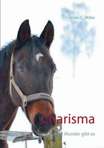 Cover image for Charisma: ... oder Wunder gibt es