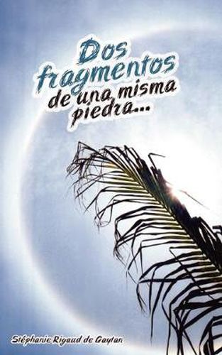 Cover image for Dos fragmentos de una misma piedra