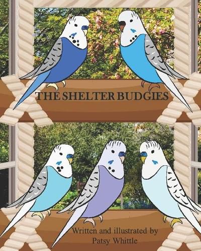 Cover image for The Shelter Budgies