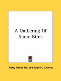 Cover image for A Gathering of Shore Birds