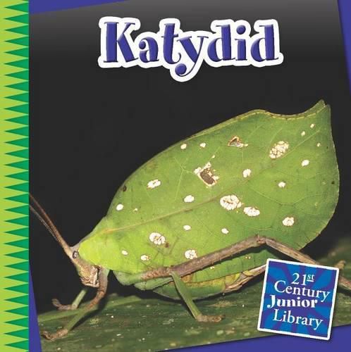 Cover image for Katydid