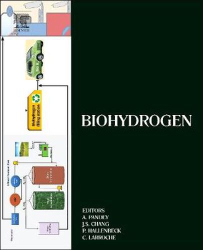 Cover image for Biohydrogen