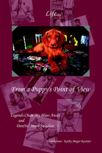 Cover image for Life from a Puppy's Point of View