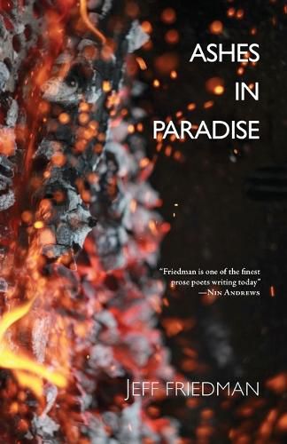 Cover image for Ashes in Paradise