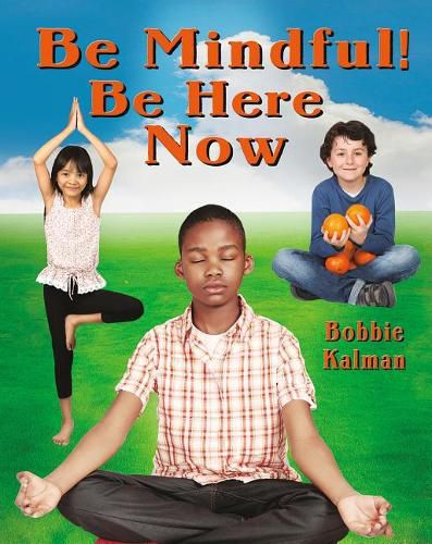 Cover image for Be Mindful! Be Here Now